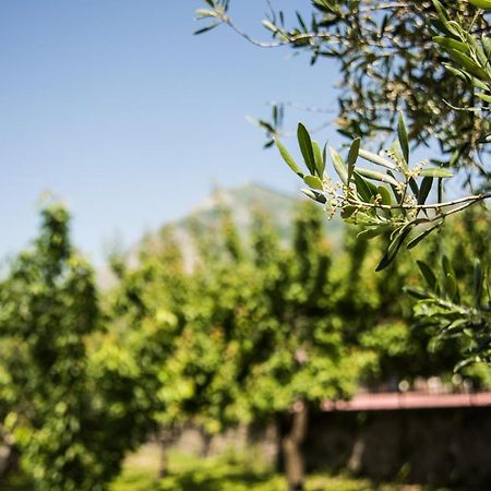 Casa Vacanza Dal Cavaliere Montesarchio Exterior foto